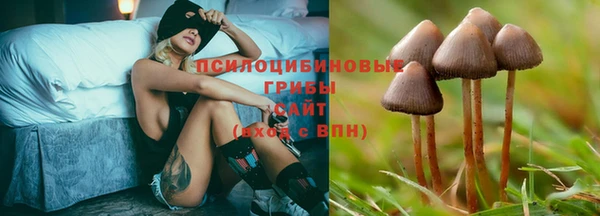 тгк Верхний Тагил