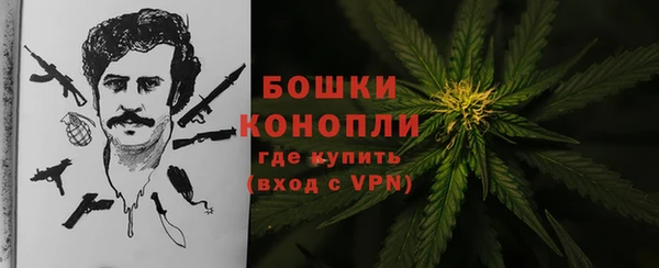 сатива Верхнеуральск