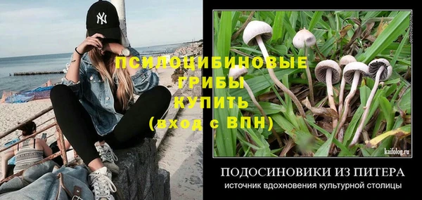 сатива Верхнеуральск
